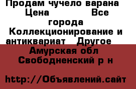 Продам чучело варана. › Цена ­ 15 000 - Все города Коллекционирование и антиквариат » Другое   . Амурская обл.,Свободненский р-н